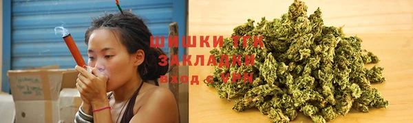 амф Вязьма