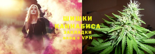 дмт Вяземский