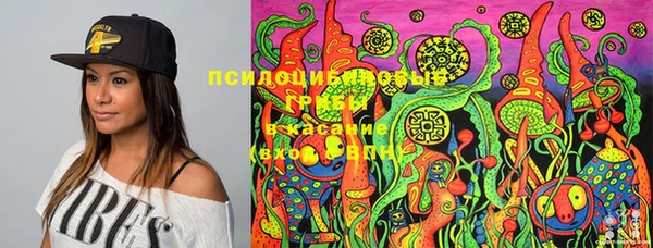 дмт Вяземский