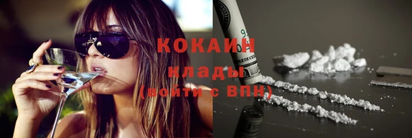 дмт Вяземский