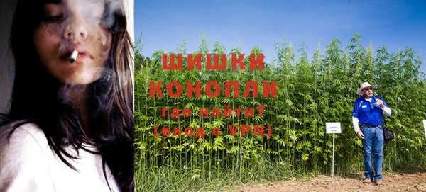 амф Вязьма