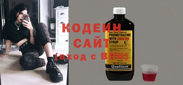 дмт Вяземский