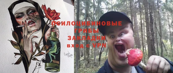 амф Вязьма
