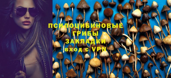 амф Вязьма