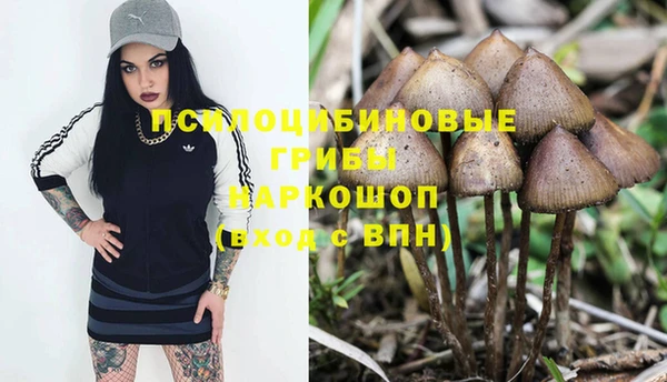дмт Вяземский
