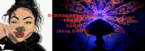 амф Вязьма