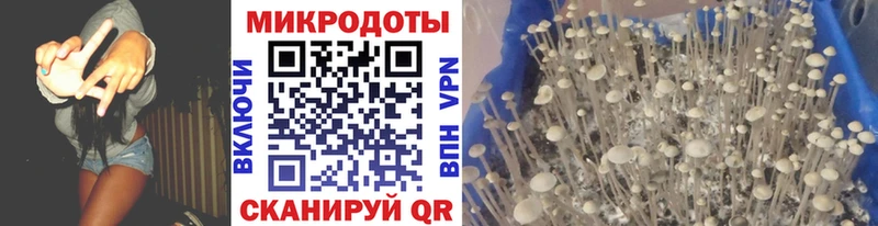 Галлюциногенные грибы прущие грибы  Малаховка 